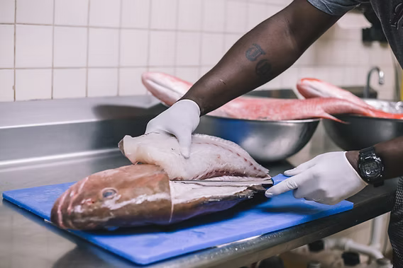Fresh Fish in Tallahassee and Gainesvill